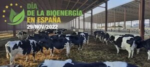 la bioenergia aporta el 9 de la toda energia consumida en espana 6387060d693a1