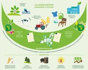 cientificos y academicos se unen para defender la biomasa forestal espanola 63997b2f9a425