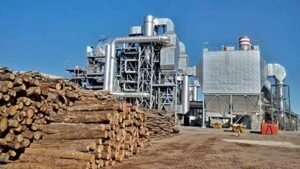 el gran reto de la bioenergia en el mundo es aumentar la eficiencia en su uso 64083922ab0de