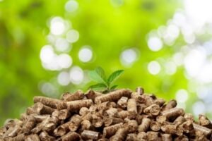 Nuove raccomandazioni per il consumo di biomassa e biogas negli impianti dell'UE ets 65292a1a95026