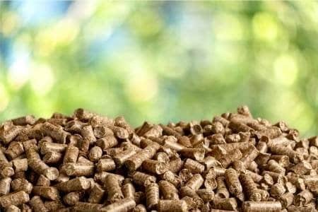 el aprovechamiento de la biomasa forestal como energia renovable clave para prevenir incendios 6690f5722f0f8