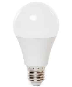 Bulbo LED A60 BIANCO CREDDO 6400K 8W 12/24V E27