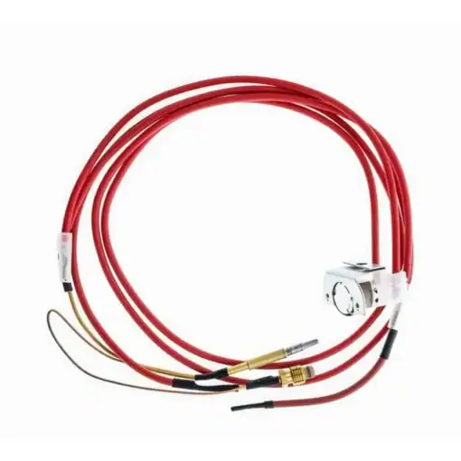 Dispositif à thermocouple pour la régulation du tirage de la chaudière Junkers ZW20 ZS20 8755005368 3 Dispositif de contrôle de tirage par thermocouple pour chaudière Junkers ZW20 ZS20 8755005368